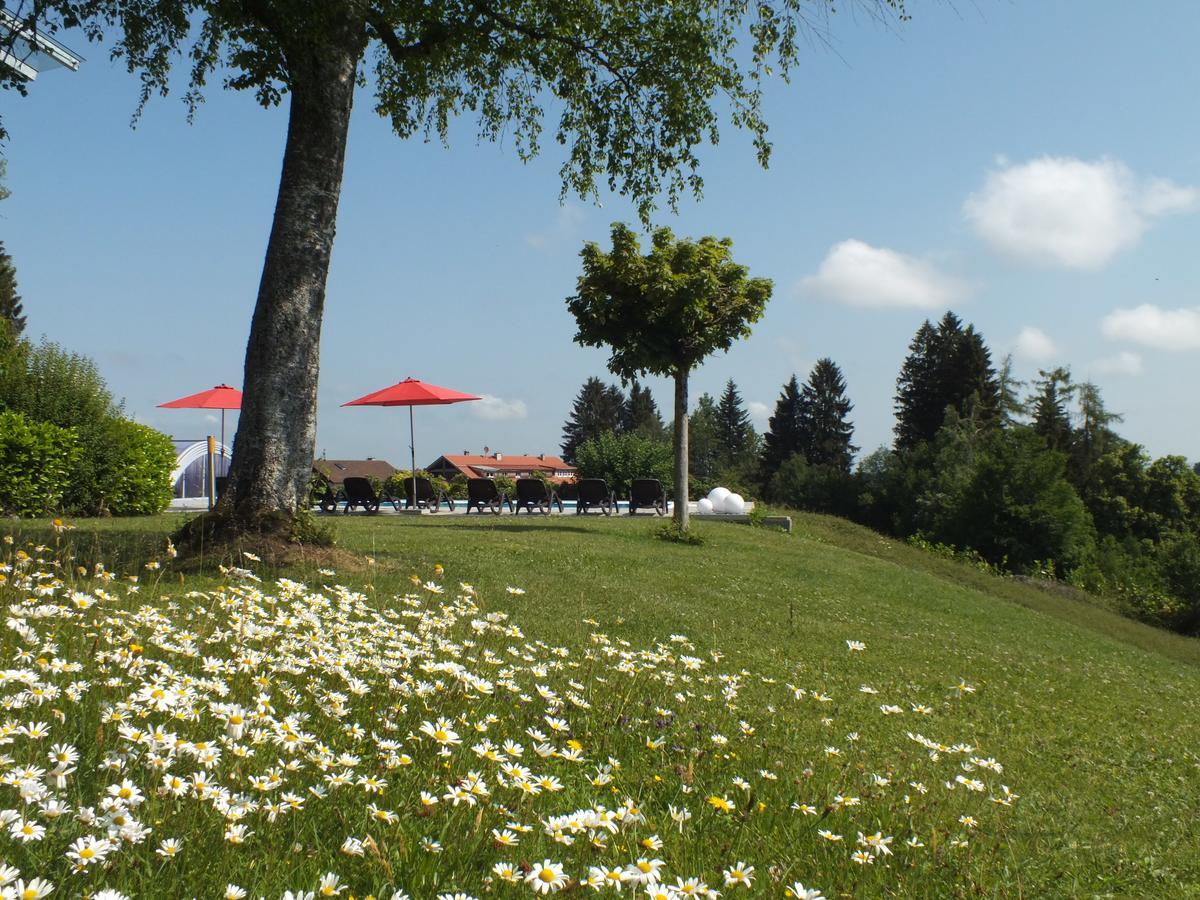 Gastehaus Pension Bergwald Scheidegg Dış mekan fotoğraf