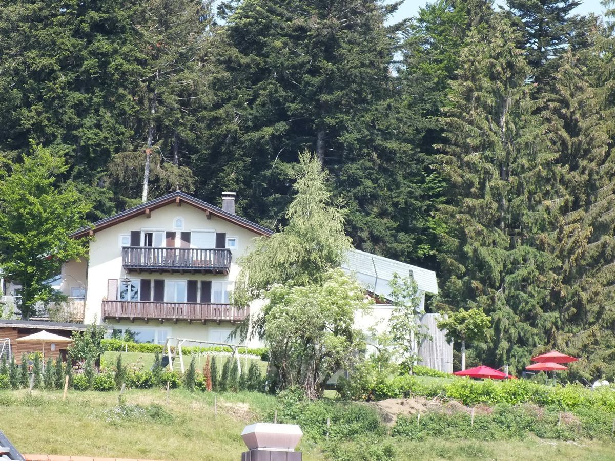 Gastehaus Pension Bergwald Scheidegg Dış mekan fotoğraf